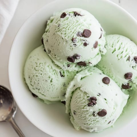 Mint Chocolate Chip Delight